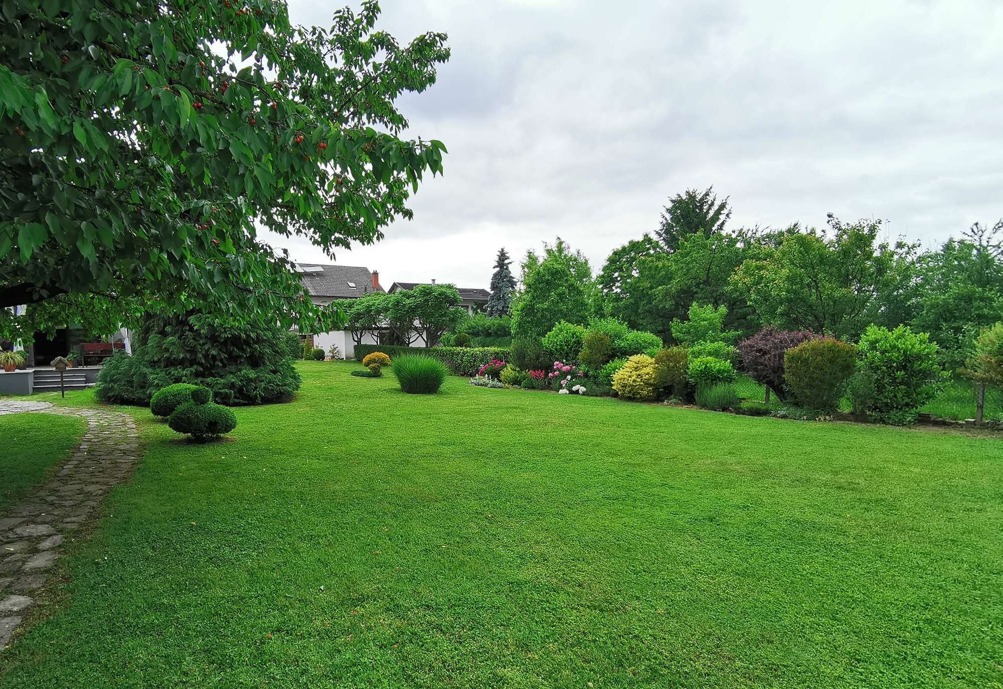 Green grass in back yard of a house. Beautiful garden with trees and flowers in spring.