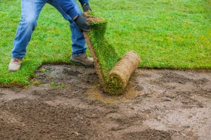landscaping-laying-new-sod-in-a-backyard-green-lawn-grass-in-rolls