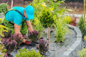 Professional Garden Landscape Maintenance Services